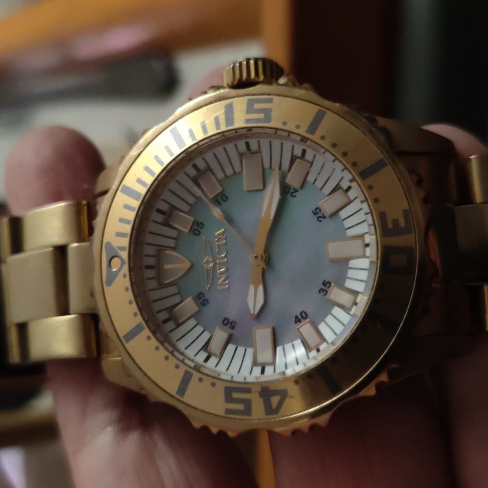 🎊ProDiver Stainless Steel Gold Watch